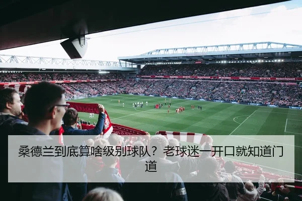 桑德兰到底算啥级别球队？老球迷一开口就知道门道