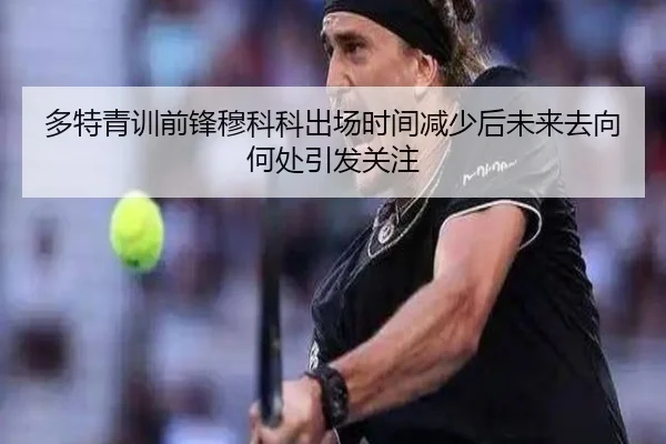 多特青训前锋穆科科出场时间减少后未来去向何处引发关注