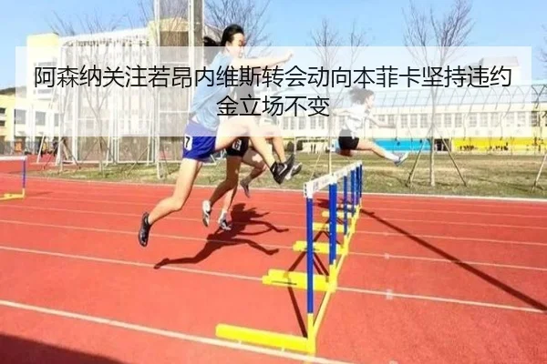 阿森纳关注若昂内维斯转会动向本菲卡坚持违约金立场不变